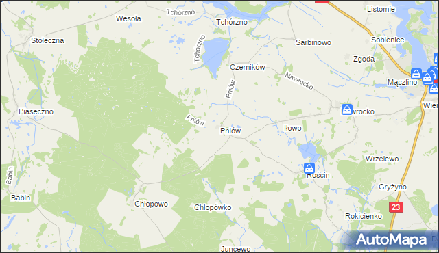 mapa Pniów gmina Myślibórz, Pniów gmina Myślibórz na mapie Targeo