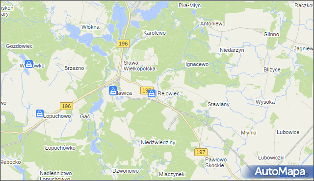 mapa Rejowiec gmina Skoki, Rejowiec gmina Skoki na mapie Targeo