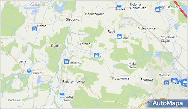 mapa Rogi gmina Niemodlin, Rogi gmina Niemodlin na mapie Targeo