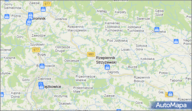 mapa Rzepiennik Strzyżewski, Rzepiennik Strzyżewski na mapie Targeo