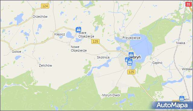 mapa Skotnica gmina Moryń, Skotnica gmina Moryń na mapie Targeo