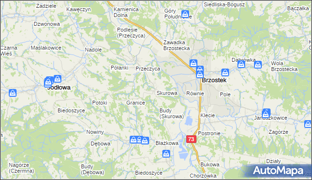 mapa Skurowa, Skurowa na mapie Targeo