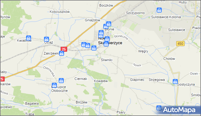 mapa Śliwniki gmina Nowe Skalmierzyce, Śliwniki gmina Nowe Skalmierzyce na mapie Targeo