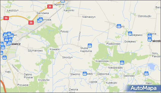 mapa Słupia Kapitulna, Słupia Kapitulna na mapie Targeo