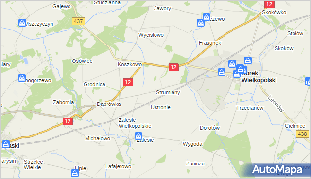 mapa Strumiany gmina Borek Wielkopolski, Strumiany gmina Borek Wielkopolski na mapie Targeo