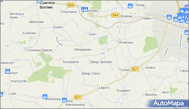 mapa Toki gmina Czernice Borowe, Toki gmina Czernice Borowe na mapie Targeo
