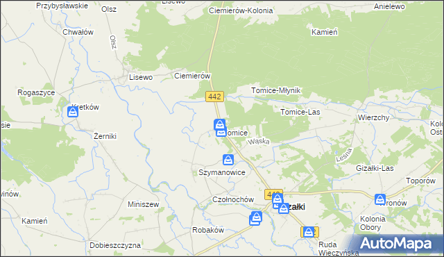 mapa Tomice gmina Gizałki, Tomice gmina Gizałki na mapie Targeo
