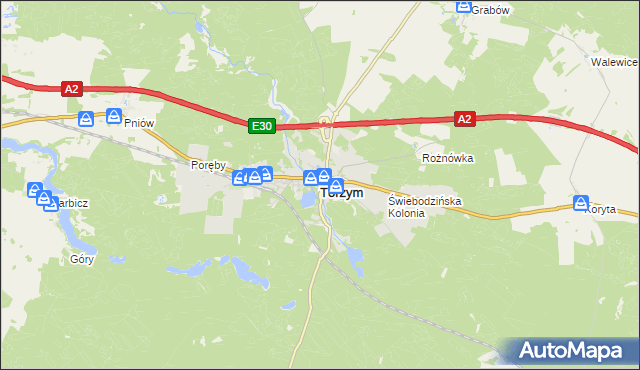 mapa Torzym, Torzym na mapie Targeo