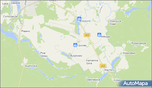 mapa Trzciniec gmina Czaplinek, Trzciniec gmina Czaplinek na mapie Targeo