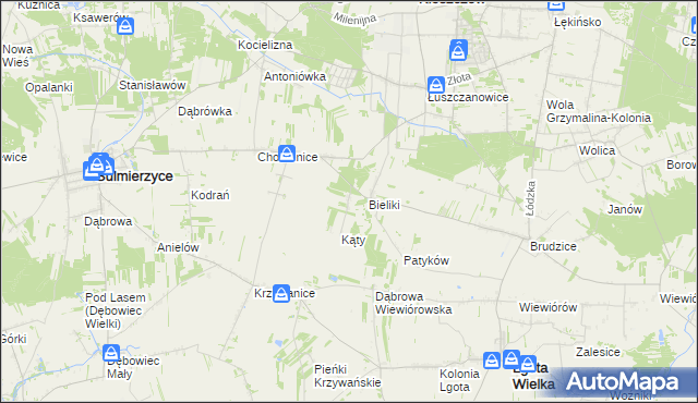 mapa Trzciniec gmina Sulmierzyce, Trzciniec gmina Sulmierzyce na mapie Targeo