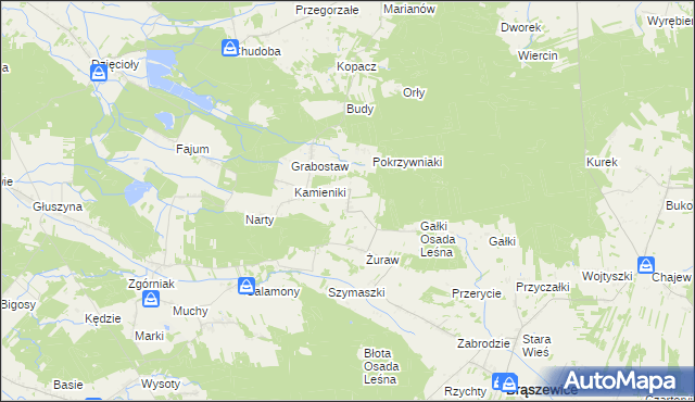 mapa Trzcinka gmina Brąszewice, Trzcinka gmina Brąszewice na mapie Targeo