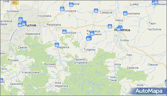 mapa Tuligłowy gmina Rokietnica, Tuligłowy gmina Rokietnica na mapie Targeo