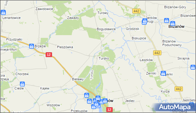 mapa Tursko gmina Gołuchów, Tursko gmina Gołuchów na mapie Targeo