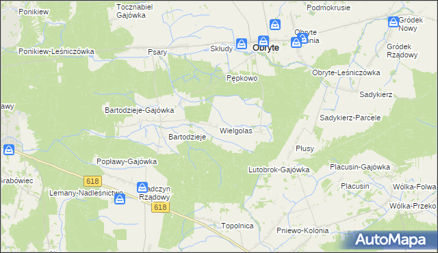 mapa Wielgolas gmina Obryte, Wielgolas gmina Obryte na mapie Targeo