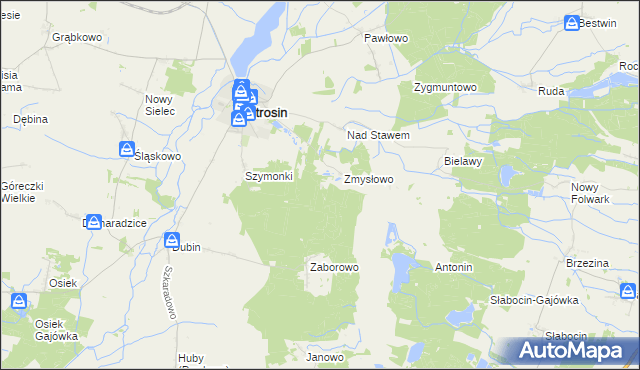 mapa Wielki Bór gmina Jutrosin, Wielki Bór gmina Jutrosin na mapie Targeo