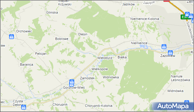 mapa Wielobycz, Wielobycz na mapie Targeo