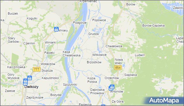 mapa Witkowice gmina Radomyśl nad Sanem, Witkowice gmina Radomyśl nad Sanem na mapie Targeo