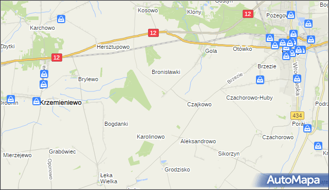 mapa Witoldowo gmina Gostyń, Witoldowo gmina Gostyń na mapie Targeo