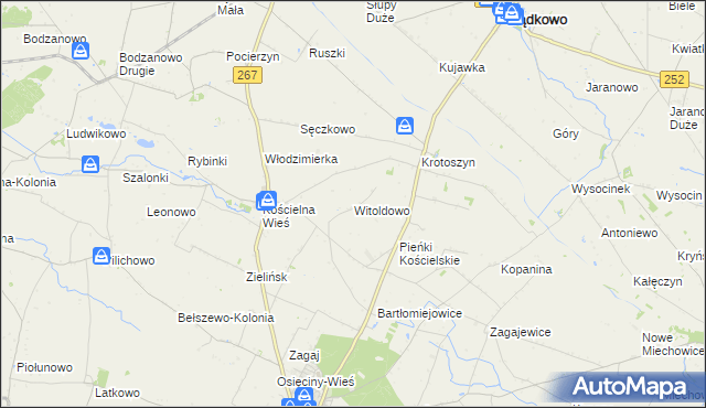 mapa Witoldowo gmina Osięciny, Witoldowo gmina Osięciny na mapie Targeo