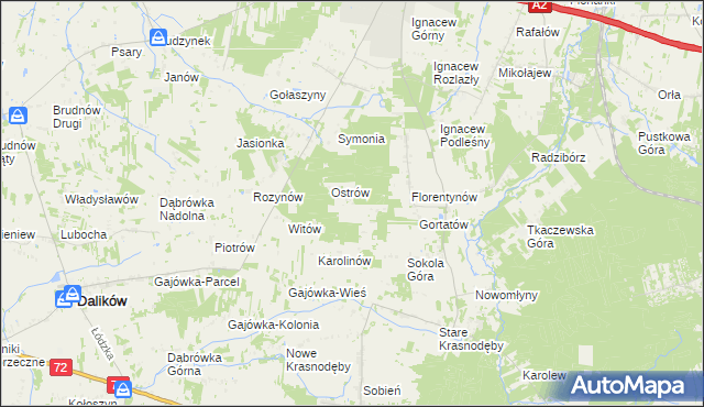 mapa Włodzimierzów gmina Dalików, Włodzimierzów gmina Dalików na mapie Targeo
