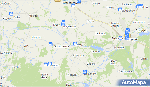 mapa Wrzos, Wrzos na mapie Targeo