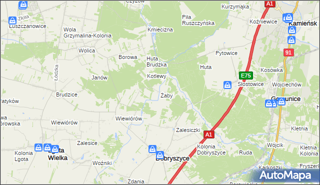 mapa Żaby gmina Dobryszyce, Żaby gmina Dobryszyce na mapie Targeo