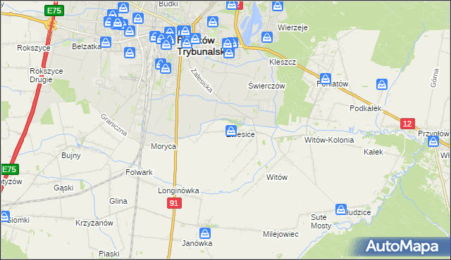 mapa Zalesice gmina Sulejów, Zalesice gmina Sulejów na mapie Targeo