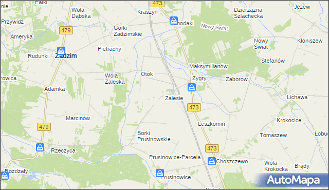 mapa Zalesie gmina Zadzim, Zalesie gmina Zadzim na mapie Targeo