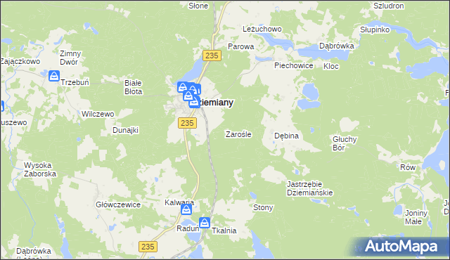 mapa Zarośle gmina Dziemiany, Zarośle gmina Dziemiany na mapie Targeo
