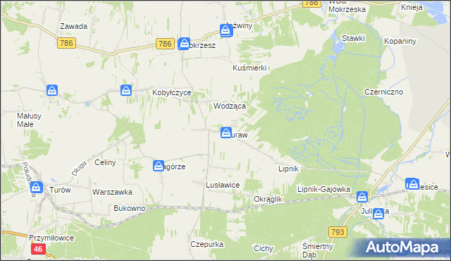 mapa Żuraw gmina Janów, Żuraw gmina Janów na mapie Targeo