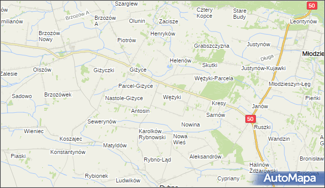 mapa Wężyki, Wężyki na mapie Targeo