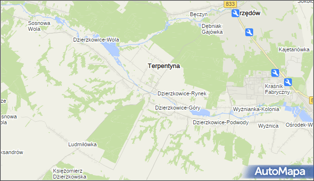 mapa Dzierzkowice-Rynek, Dzierzkowice-Rynek na mapie Targeo