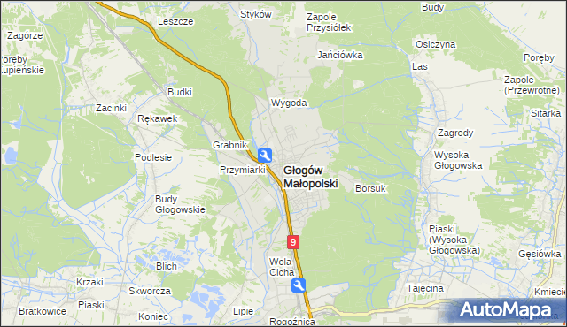 mapa Głogów Małopolski, Głogów Małopolski na mapie Targeo