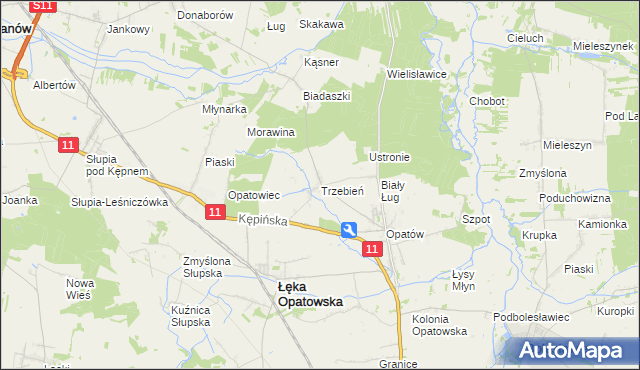 mapa Trzebień gmina Łęka Opatowska, Trzebień gmina Łęka Opatowska na mapie Targeo