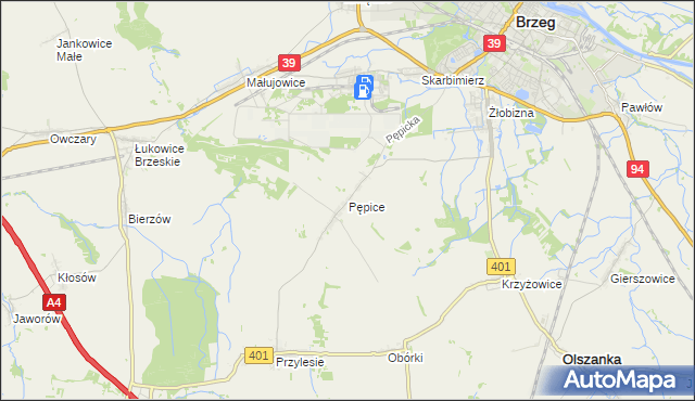 mapa Pępice gmina Skarbimierz, Pępice gmina Skarbimierz na mapie Targeo