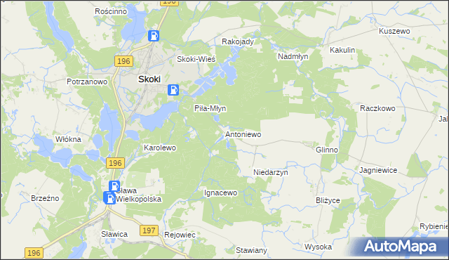 mapa Antoniewo gmina Skoki, Antoniewo gmina Skoki na mapie Targeo