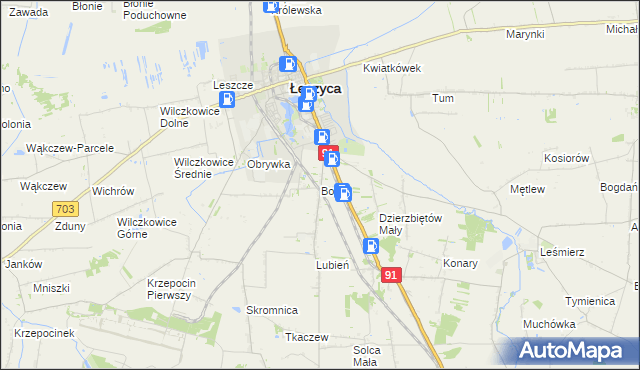 mapa Borki gmina Łęczyca, Borki gmina Łęczyca na mapie Targeo