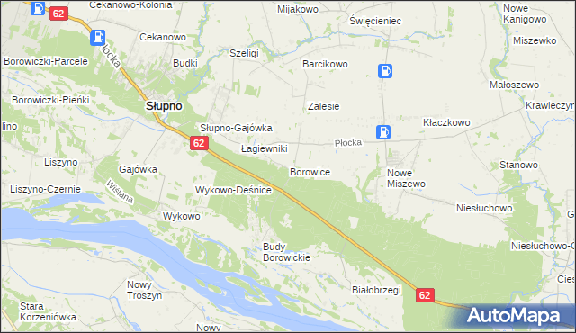 mapa Borowice gmina Bodzanów, Borowice gmina Bodzanów na mapie Targeo