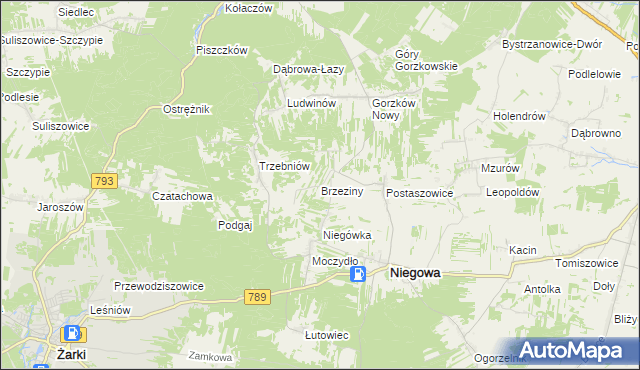 mapa Brzeziny gmina Niegowa, Brzeziny gmina Niegowa na mapie Targeo