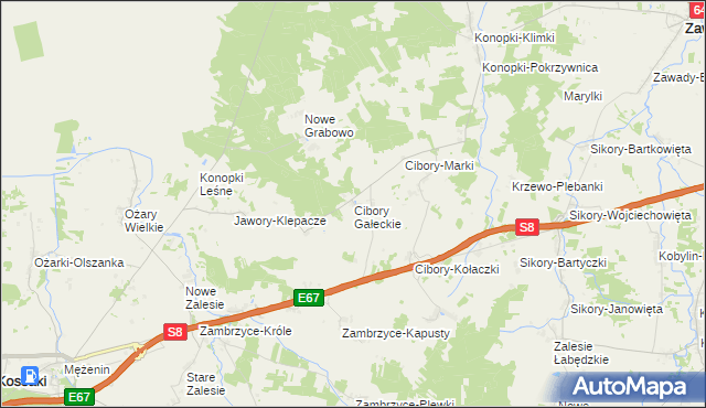 mapa Cibory Gałeckie, Cibory Gałeckie na mapie Targeo