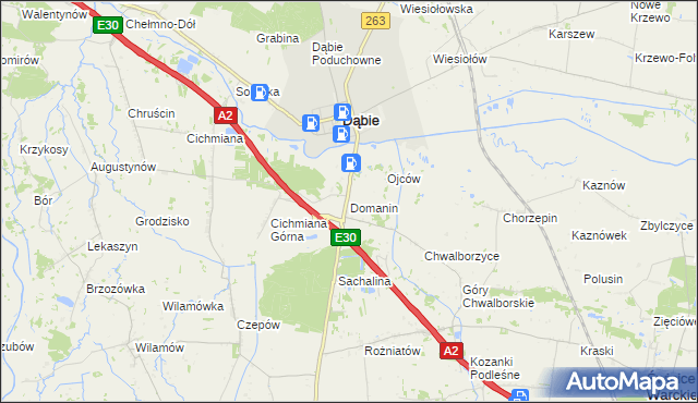 mapa Domanin gmina Dąbie, Domanin gmina Dąbie na mapie Targeo