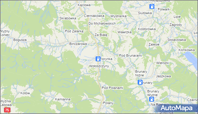 mapa Florynka, Florynka na mapie Targeo