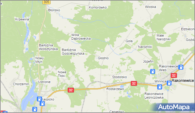 mapa Głodno gmina Rakoniewice, Głodno gmina Rakoniewice na mapie Targeo