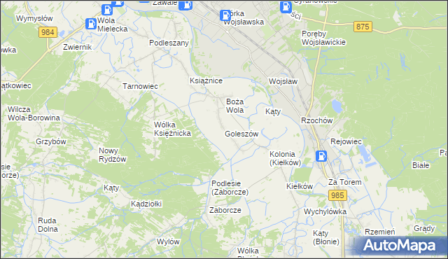 mapa Goleszów gmina Mielec, Goleszów gmina Mielec na mapie Targeo