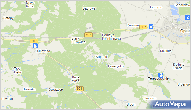 mapa Kopanki gmina Opalenica, Kopanki gmina Opalenica na mapie Targeo