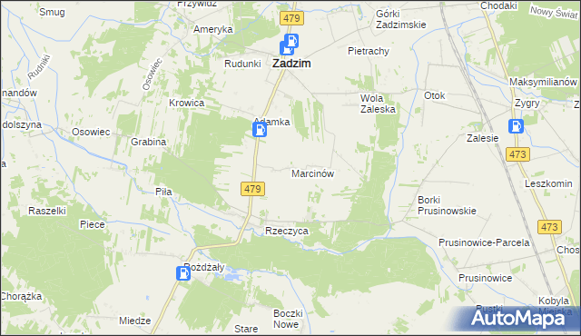 mapa Marcinów gmina Zadzim, Marcinów gmina Zadzim na mapie Targeo