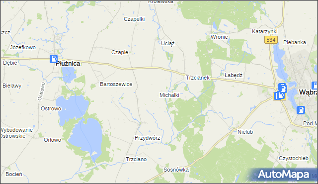 mapa Michałki gmina Ryńsk, Michałki gmina Ryńsk na mapie Targeo