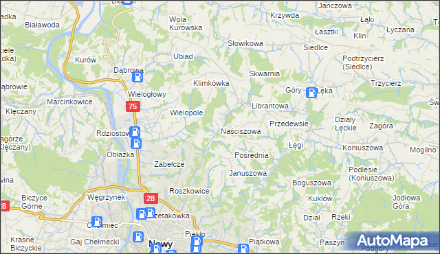 mapa Naściszowa, Naściszowa na mapie Targeo