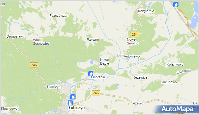 mapa Nowe Dąbie, Nowe Dąbie na mapie Targeo