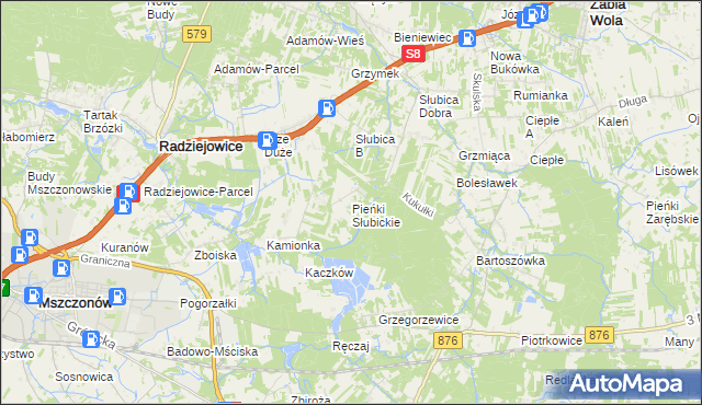 mapa Pieńki Słubickie, Pieńki Słubickie na mapie Targeo